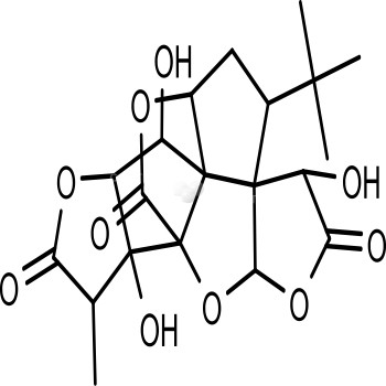 Ginkgolide B