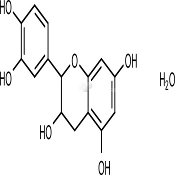 (+)-Catechin Hydrate