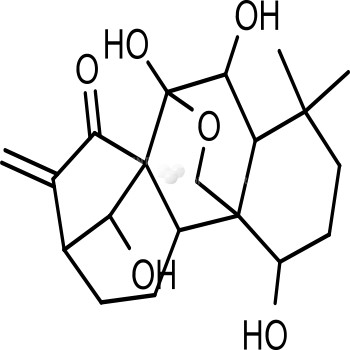 Rubescensin A