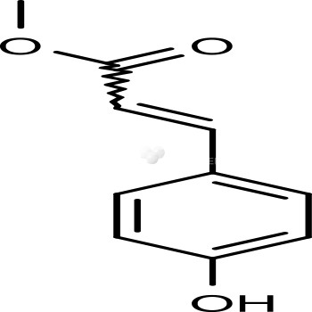 Methyl 4-hydroxycinnamate