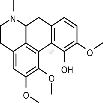 S-Isocorydine(+)