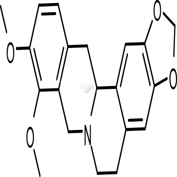 Tetrahydroberberine THB