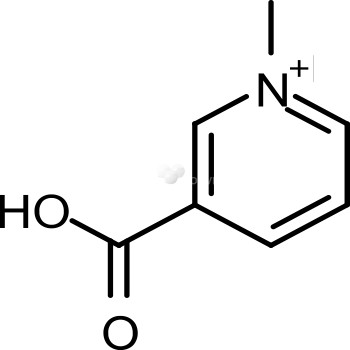 Trigonelline