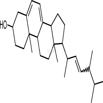 Ergosterol