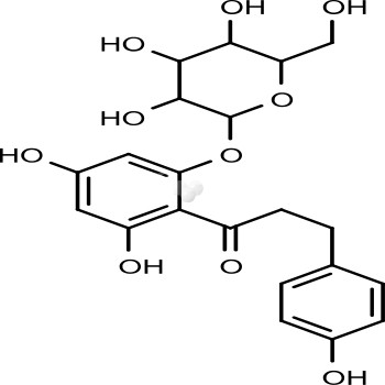 Phlorizin