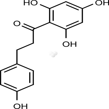 Phloretin