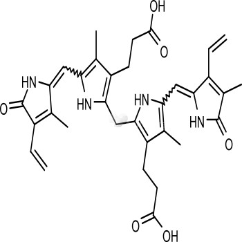 Bilirubin