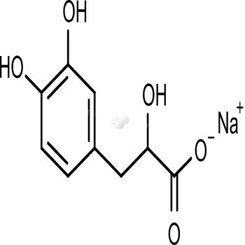 Sodium Danshensu