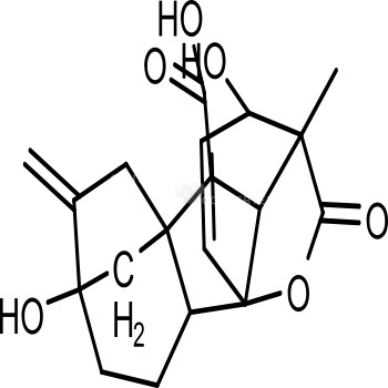 Gibberellic acid 