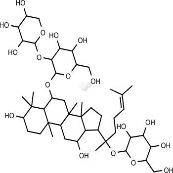 Notoginsenoside R1