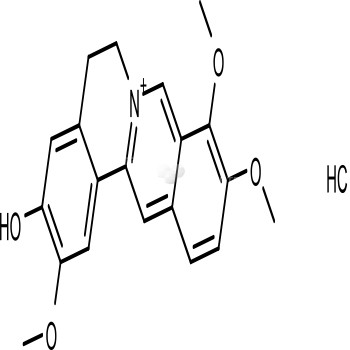 Jatrorrhizine hydrochloride