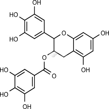 (-)-Epigallocatechin Gallate