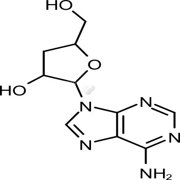 Cordycepin