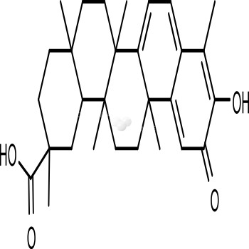 Celastrol