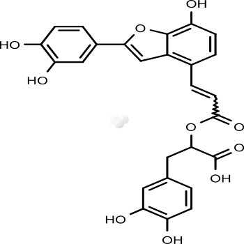 Salvianolic Acid C