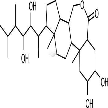 Brassinolide