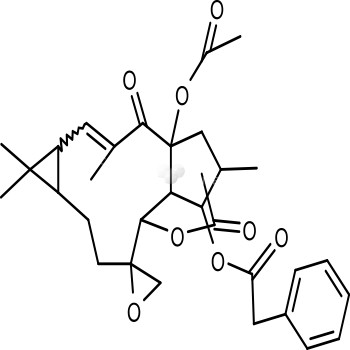 Euphorbiasteroid