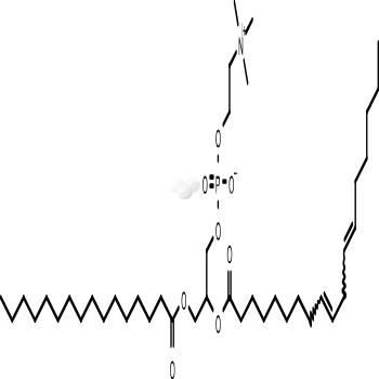 L-α-Phosphatidylcholine