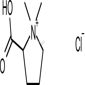 Stachydrine Hydrochloride