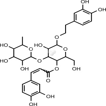 Verbascoside