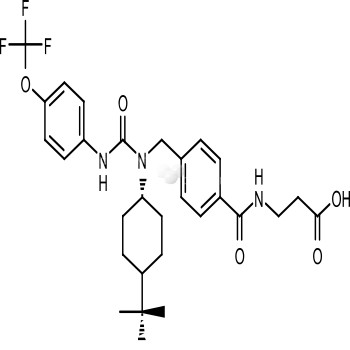 GRA-Ex-25