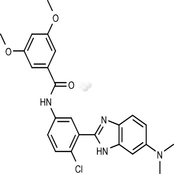 HhAntag