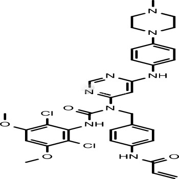 FIIN-3