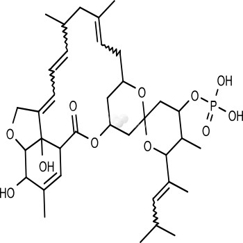 SHP099 hydrochloride