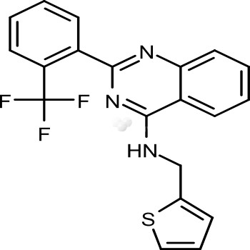 NIH-12848