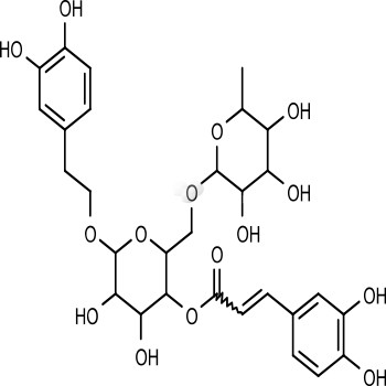 Forsythoside A