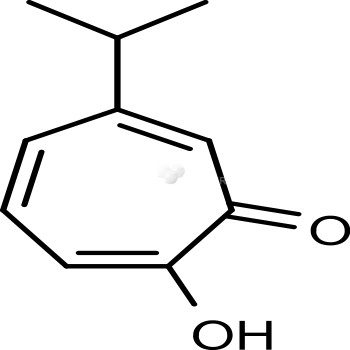 β-thujaplicin