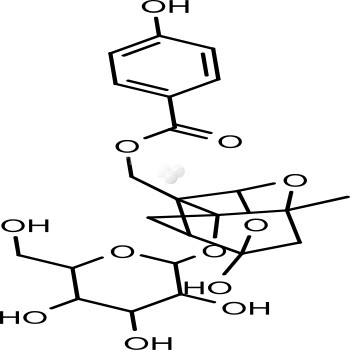 Oxypaeoniflorin