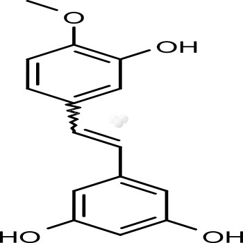 Rhapontigenin