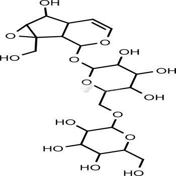 Rehmannioside A