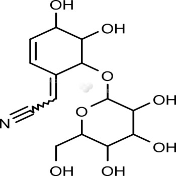 (20R)-Ginsenoside Rh1