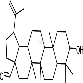 Isosilybin