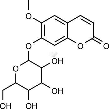 scopolin