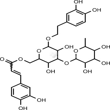 Isoacteoside