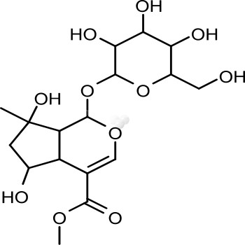 SHANZHISIDE METHYL ESTER