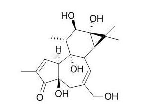 Phorbol