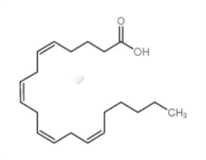 Arachidonic acid