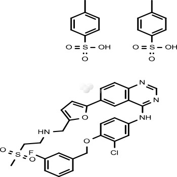 Lapatinib (GW-572016) Ditosylate