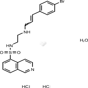 H 89 2HCl