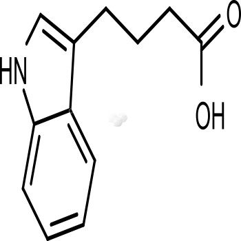 3-Indolebutyric acid (IBA)