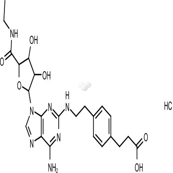 CGS 21680 HCl