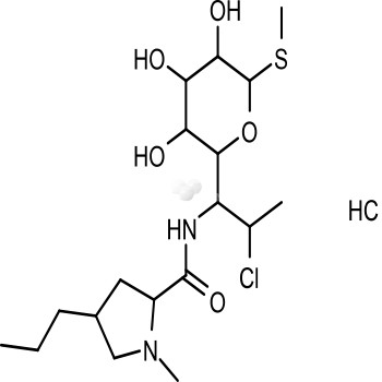 Clindamycin HCl