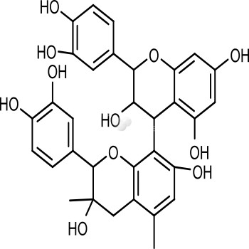 Grape Seed Extract