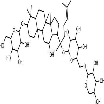 Gynostemma Extract