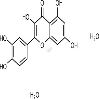 Quercetin Dihydrate