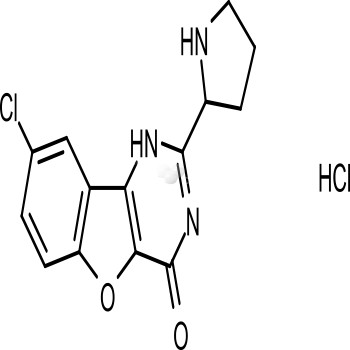 XL413-hydrochloride